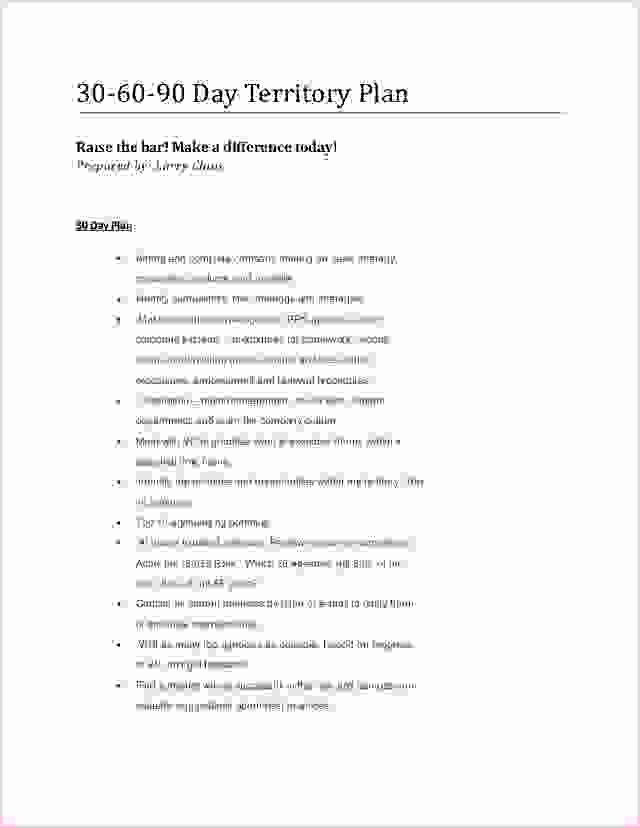 5 30 60 90 Day Sales Plan Templatereport Template