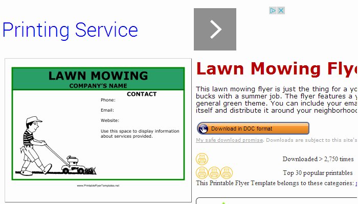 5 Lawn Mowing Flyer Templates