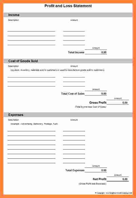 5 P and L Statement Template
