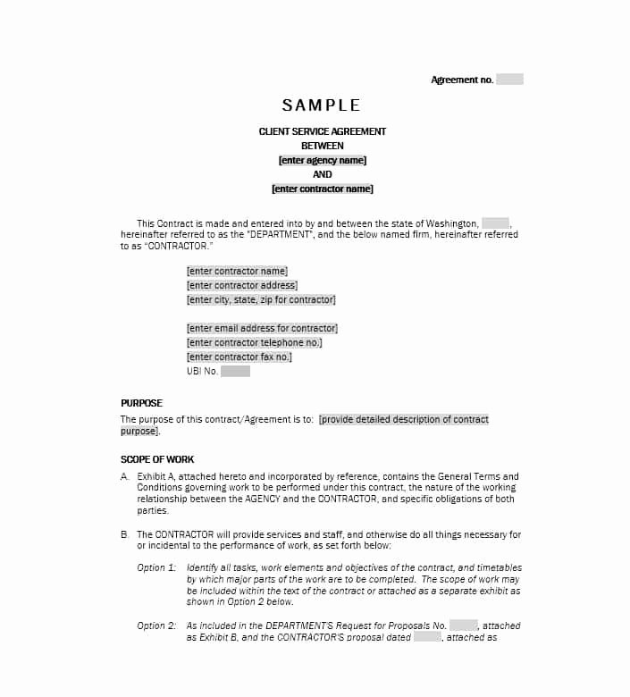 50 Professional Service Agreement Templates &amp; Contracts
