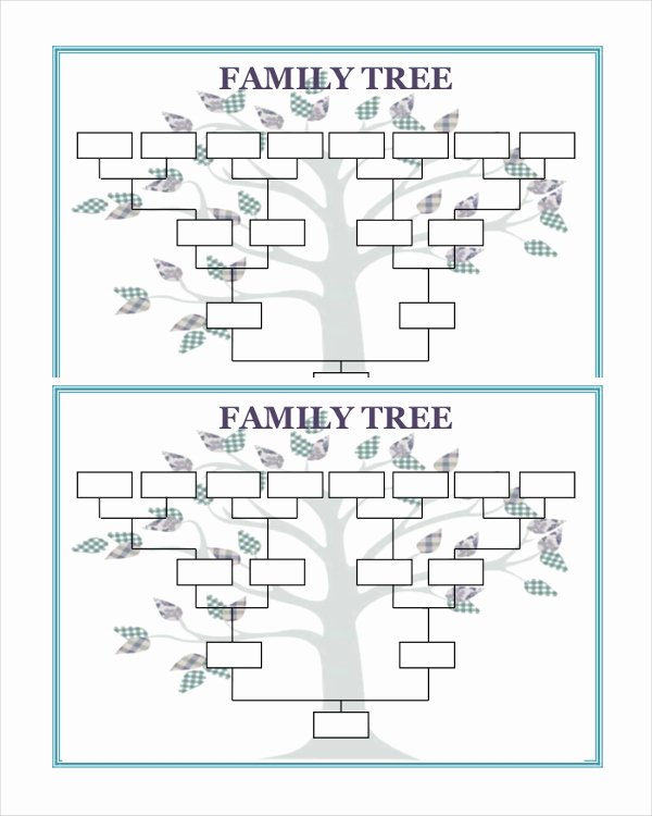 51 Family Tree Templates Free Sample Example format
