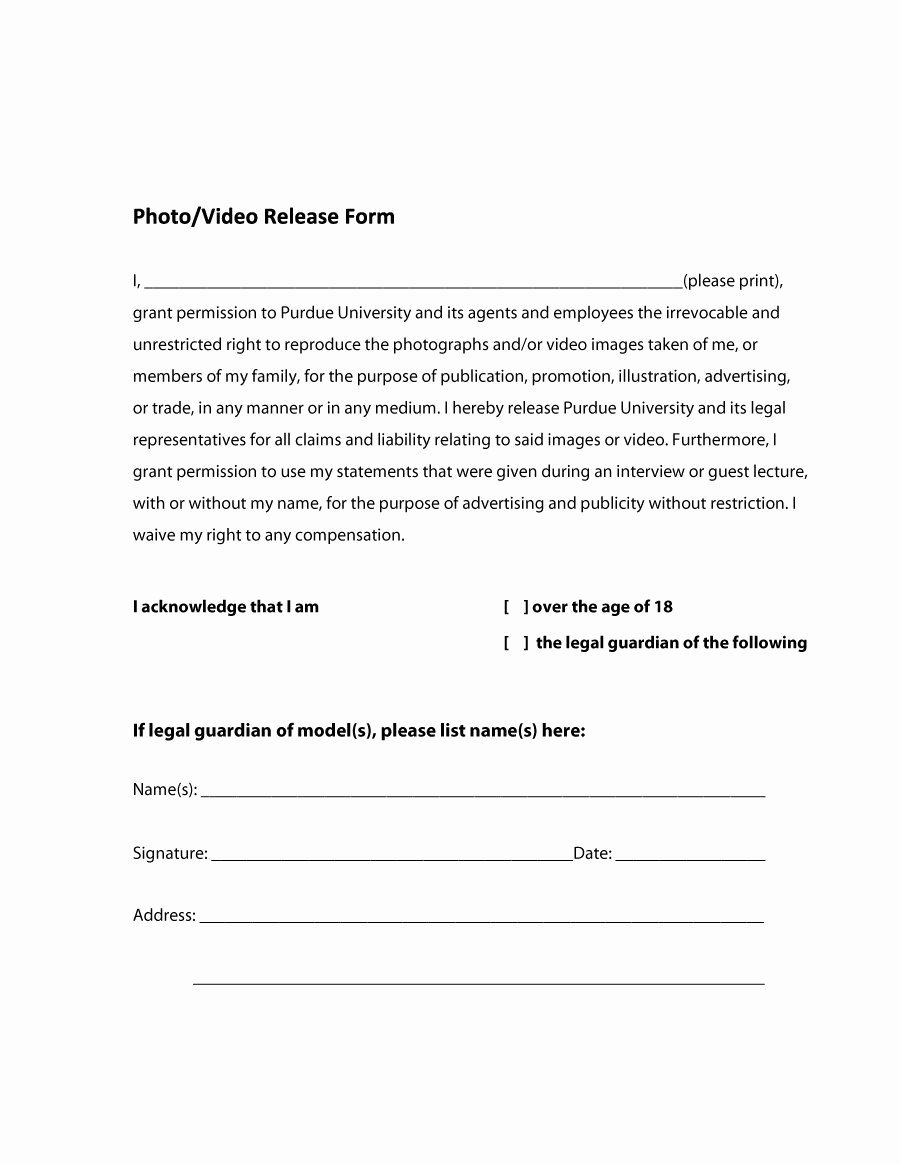 53 Free Release form Templates [word Pdf