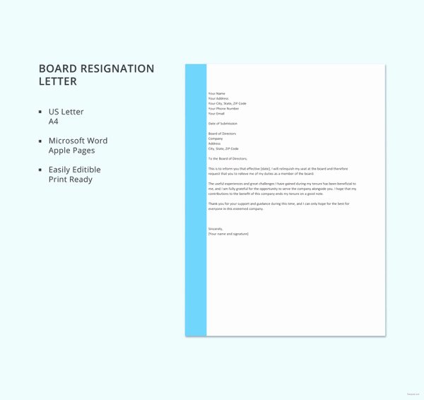 6 Board Resignation Letter Template 6 Free Word Pdf
