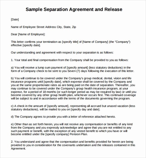 6 Business Separation Agreements