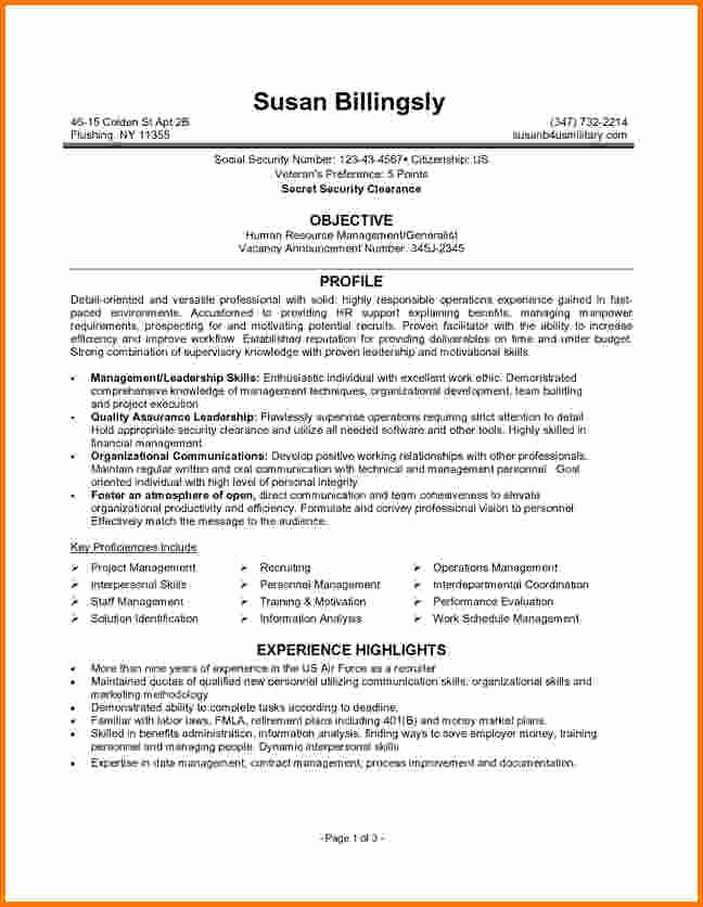 6 Federal Job Resume Examples