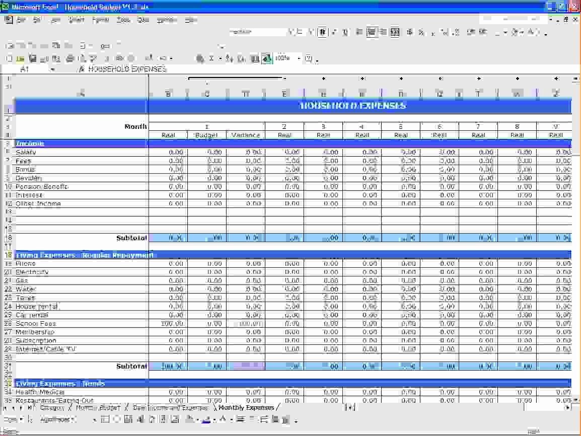 6 Microsoft Excel Bud Template