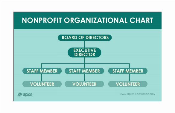 6 Non Profit organizational Charts