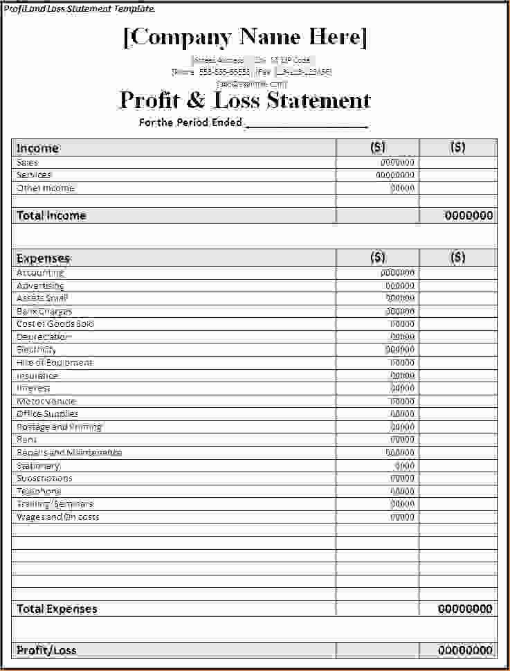 6 Profit and Loss Templates