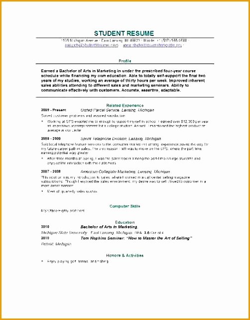 6 Self Employed Resume Example Free Samples Examples