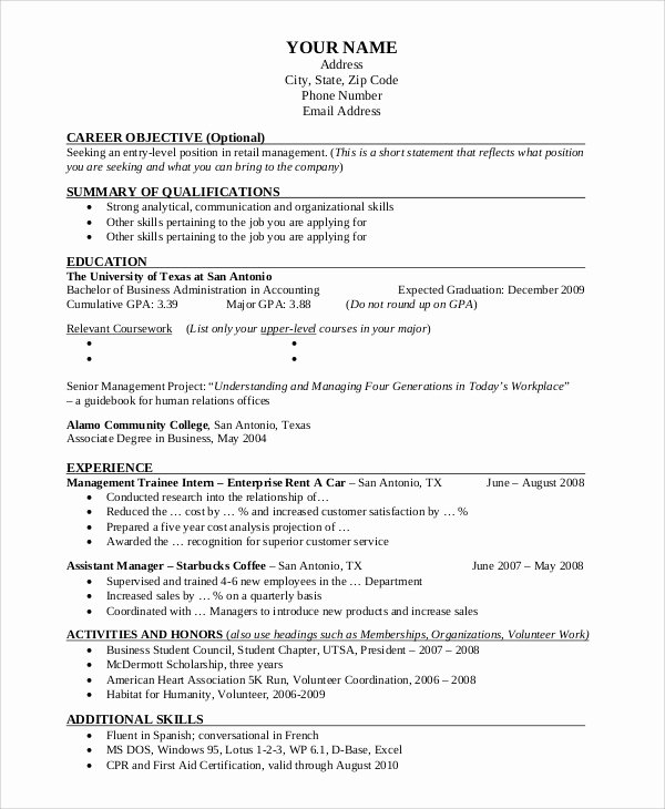 professional resume example