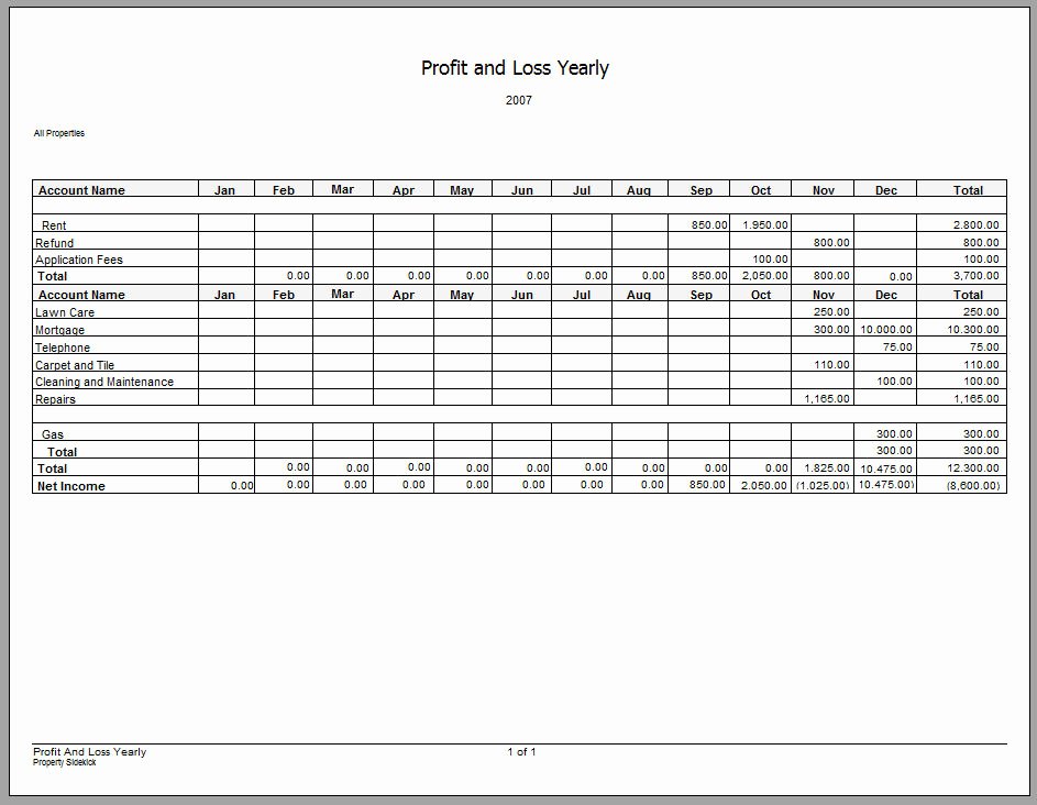 7 Profit and Loss Statement Templates Excel Pdf formats