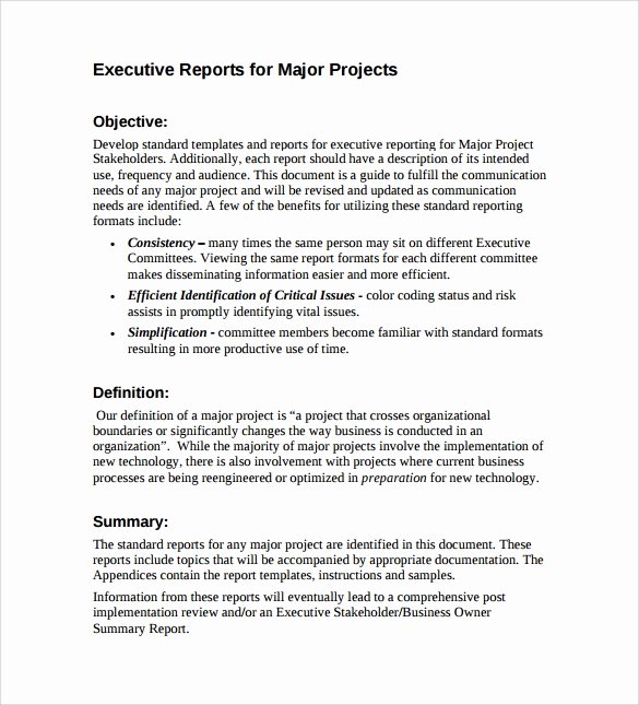 7 Sample Executive Report Templates