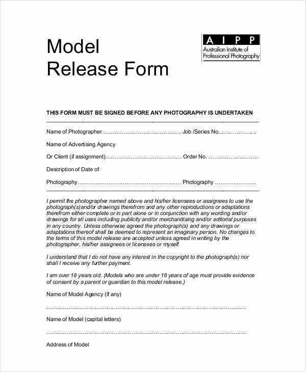 7 Sample Graphy Model Release forms