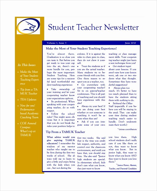 7 Teacher Newsletter Templates