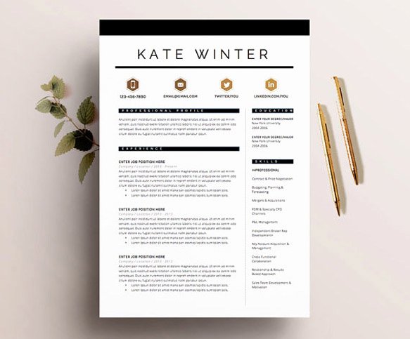 8 Creative and Appropriate Resume Templates for the Non