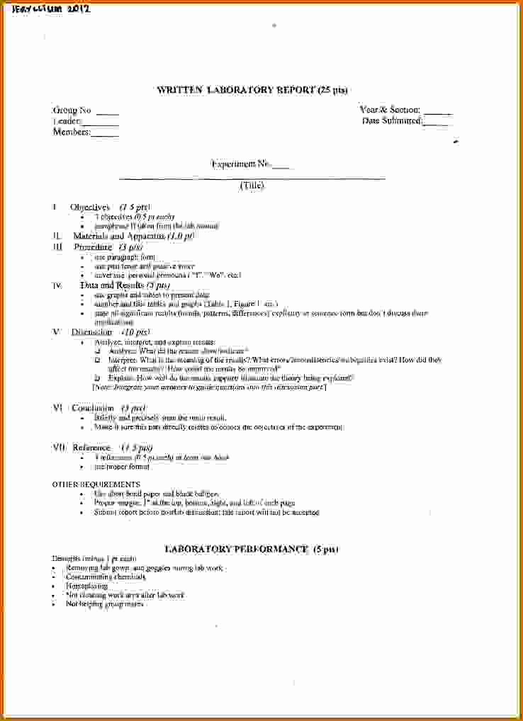 8 Ib Chemistry Lab Report format