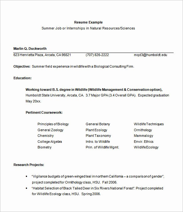 internship resume template