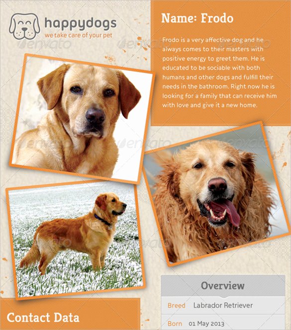8 Lost Dog Flyer Templates