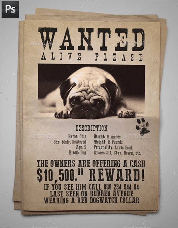 8 Lost Dog Flyer Templates