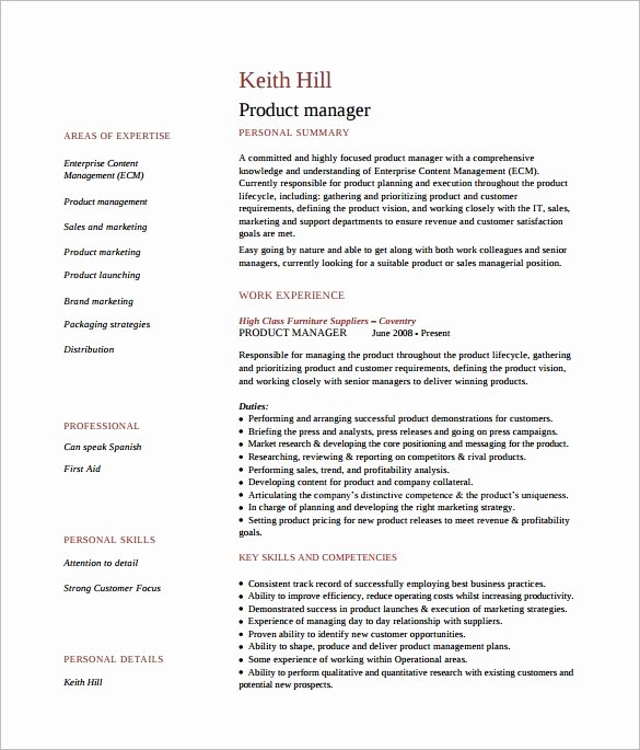 8 Product Manager Resume Templates to Download for Free