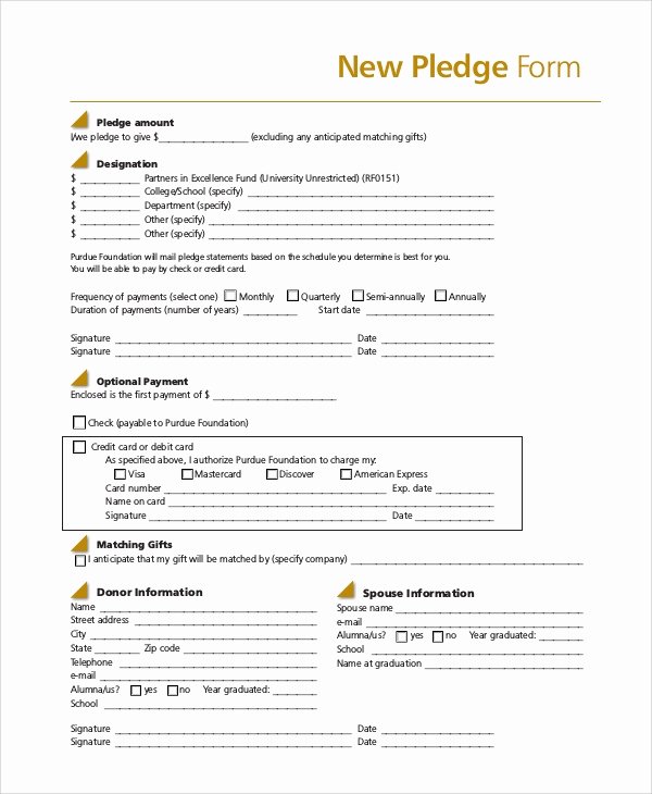 8 Sample Pledge forms – Pdf Word