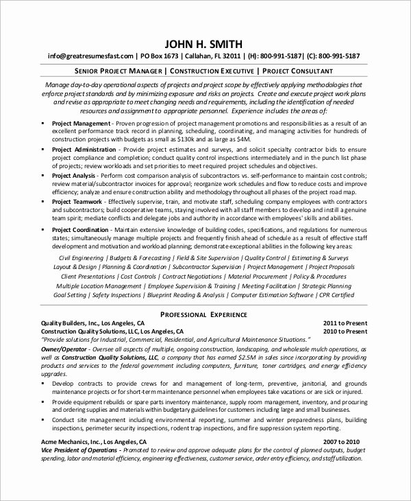 8 Sample Project Manager Resumes – Pdf Word