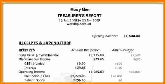8 Treasurer S Report Template