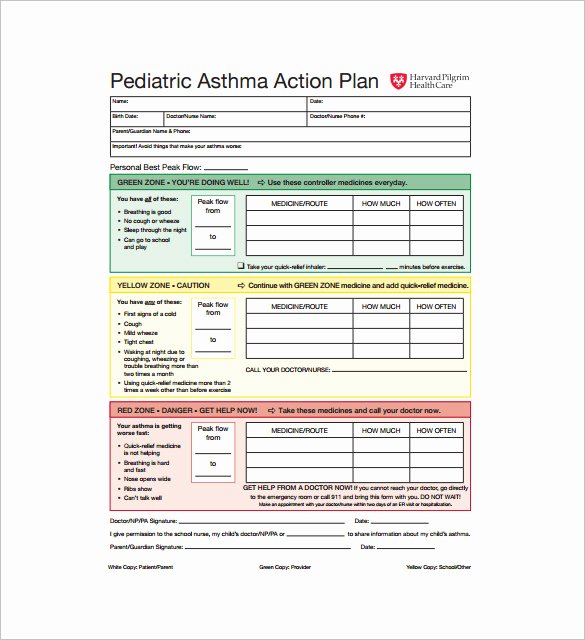 9 asthma Action Plan Template Doc Excel Pdf