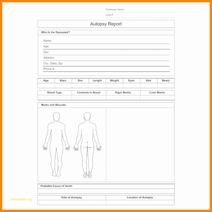 9 Autopsy Report Template