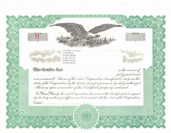 9 Best Of Free Blank Stock Certificate form Blank