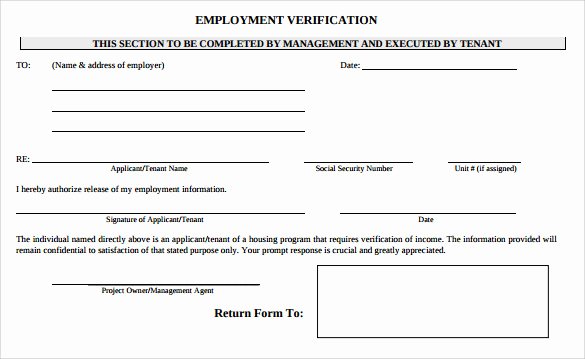 9 Employment Verification form Download for Free