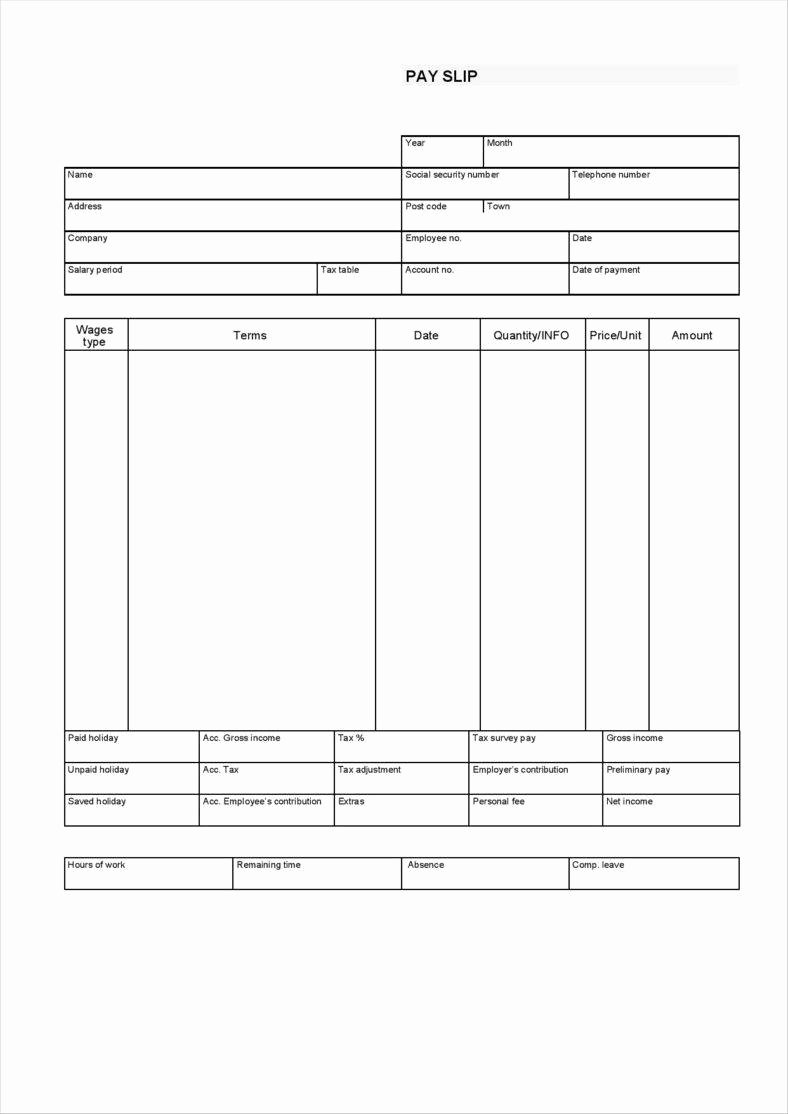 9 Free Pay Stub Templates Word Pdf Excel format