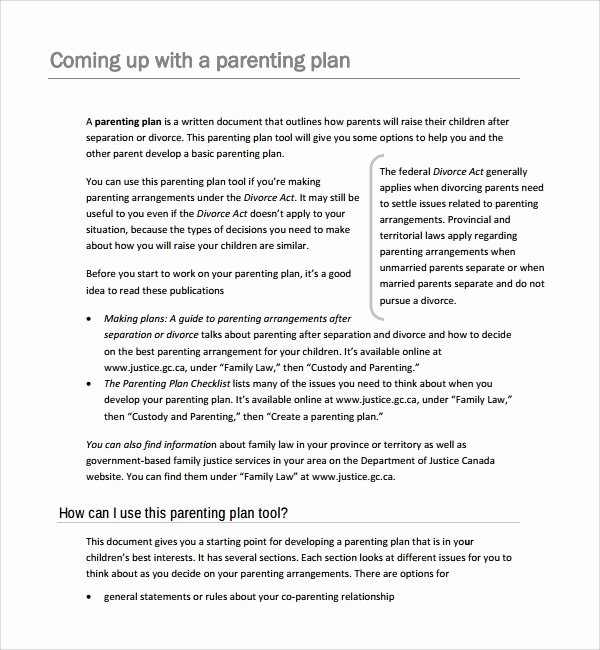9 Parenting Plan Templates