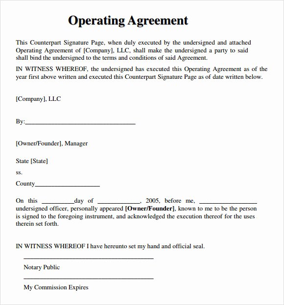 9 Sample Llc Operating Agreement Templates to Download