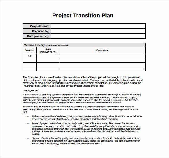 9 Sample Transition Plans – Pdf Word Pages