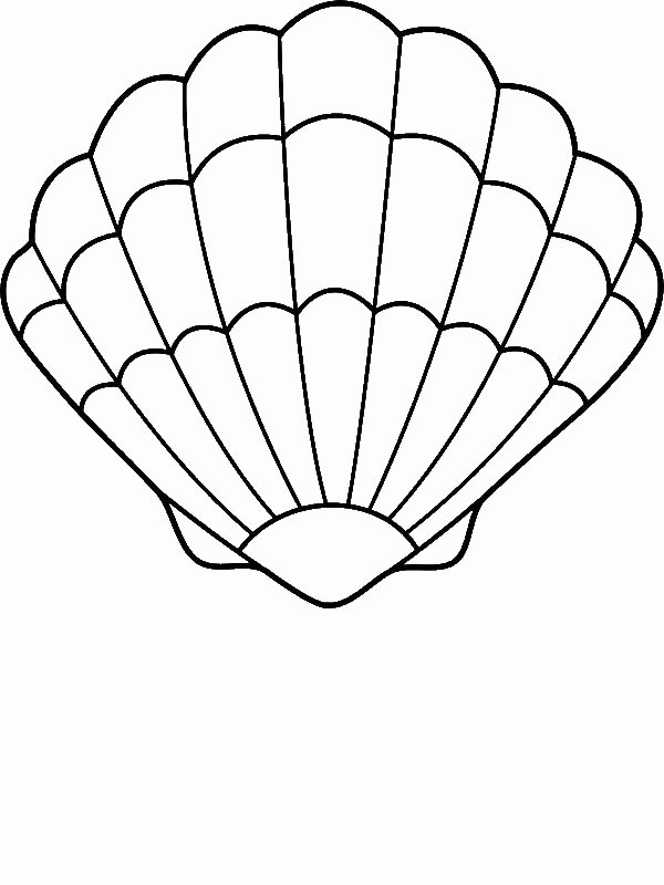A Lovely Zigzag Scallop Seashell Drawing Coloring Page by