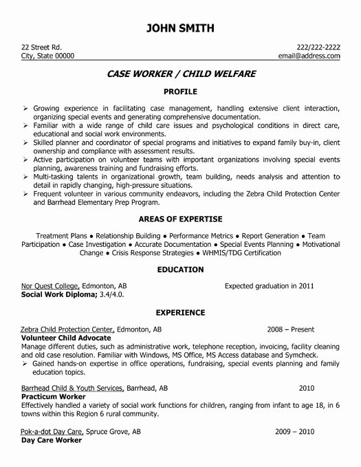 A Professional Resume Template for A Child Welfare Case