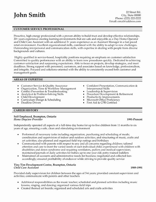 A Professional Resume Template for A Customer Service