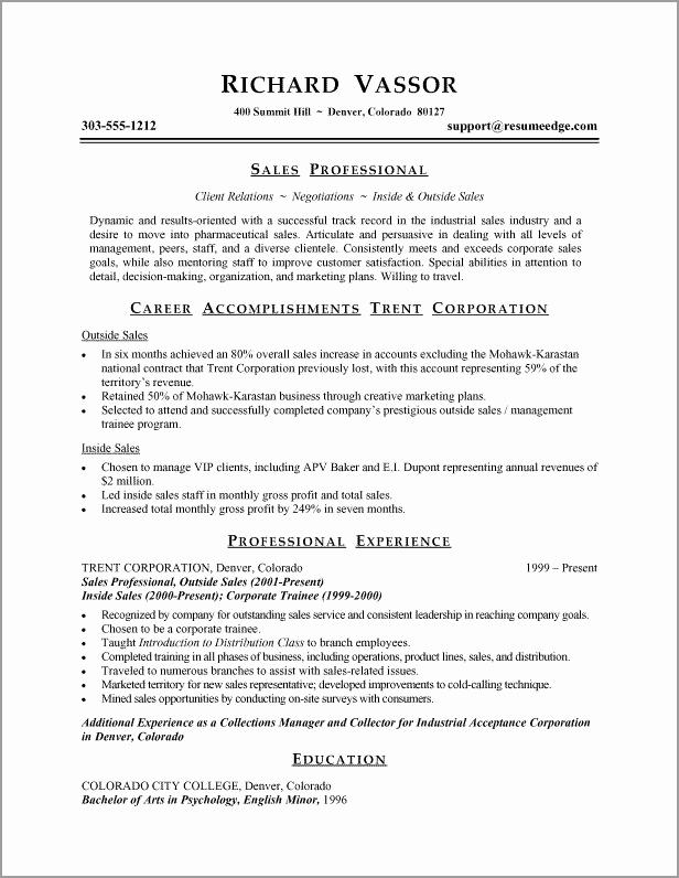 A Resume Example In the Bination Resume format