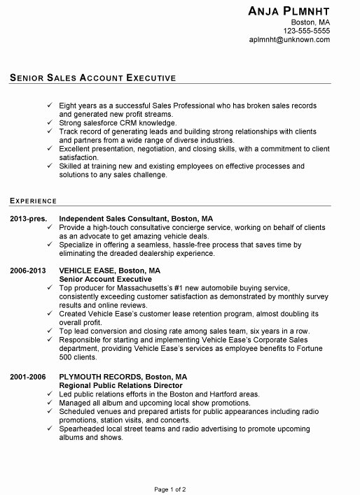 Account Executive Resume Sample