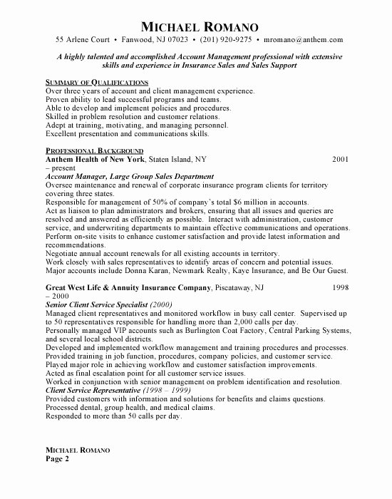 Account Manager Resume Examples