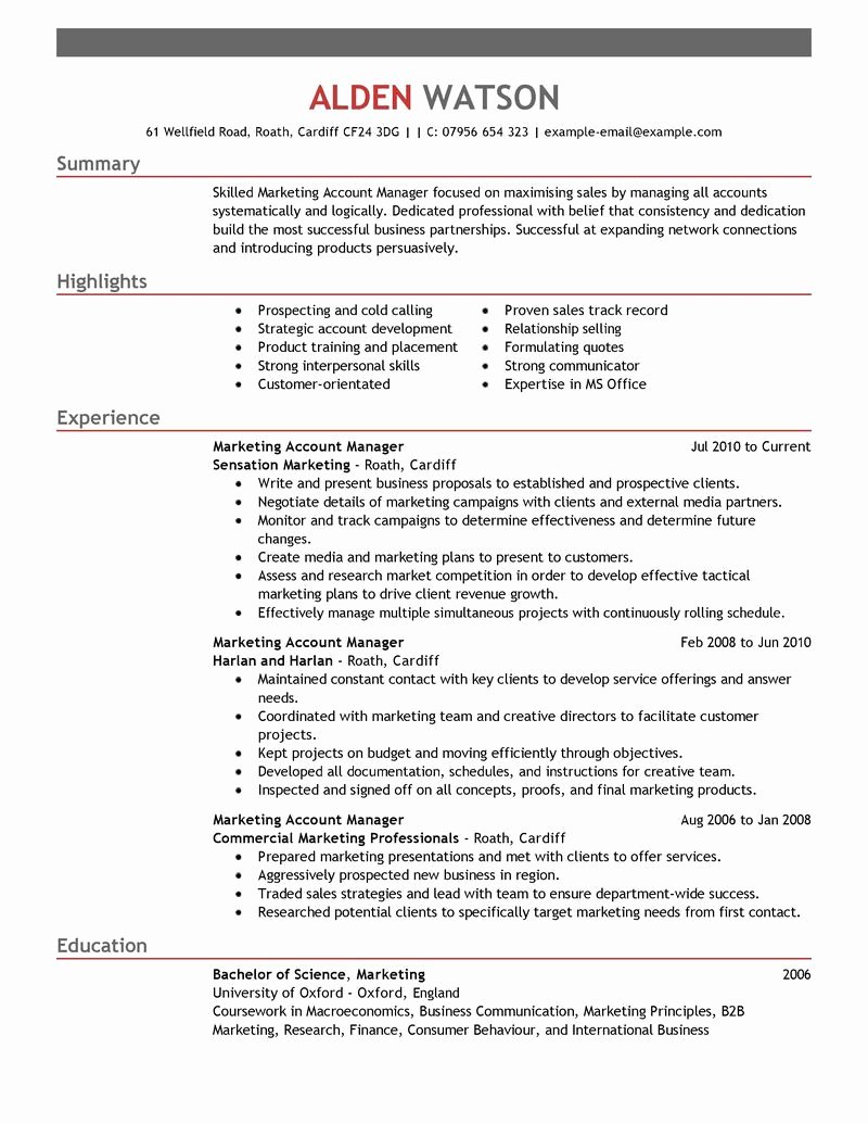 Account Manager Resume Template Download Templates