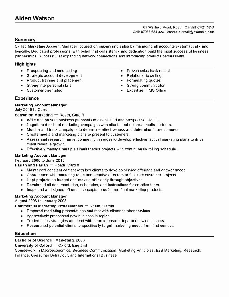 Account Manager Resume Template Free Templates Resume