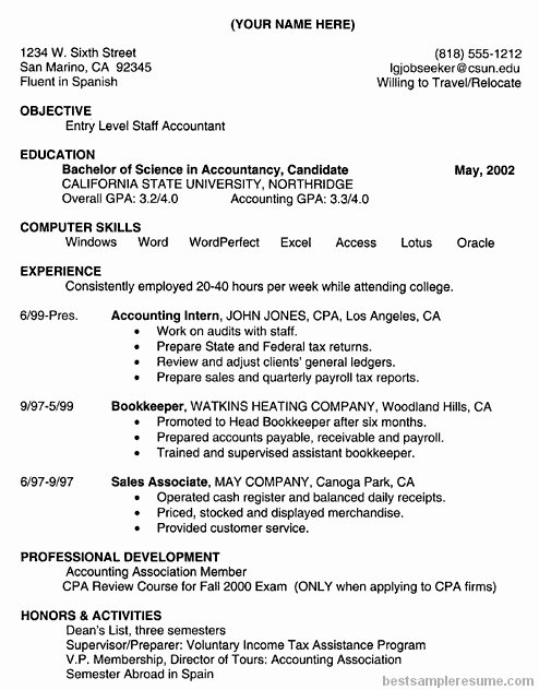 accountant resume skills