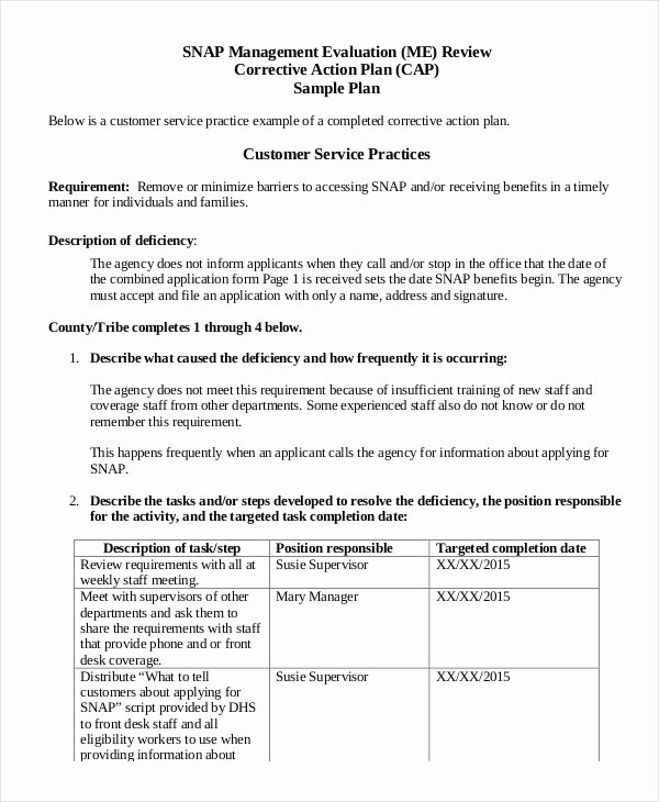 Action Plan Template 20 Free Sample Example format