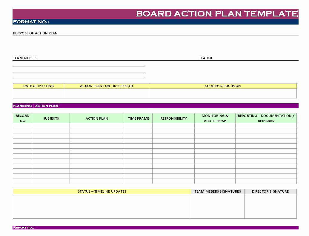 Action Plan Template Word Example Mughals