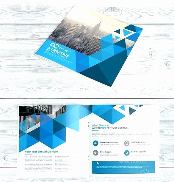 adobe illustrator brochure templates free template vector booklet illustration