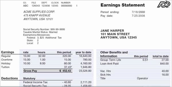 Adp Pay Stub Template Download Templates Resume
