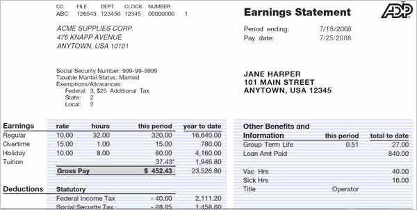 adp pay stub template