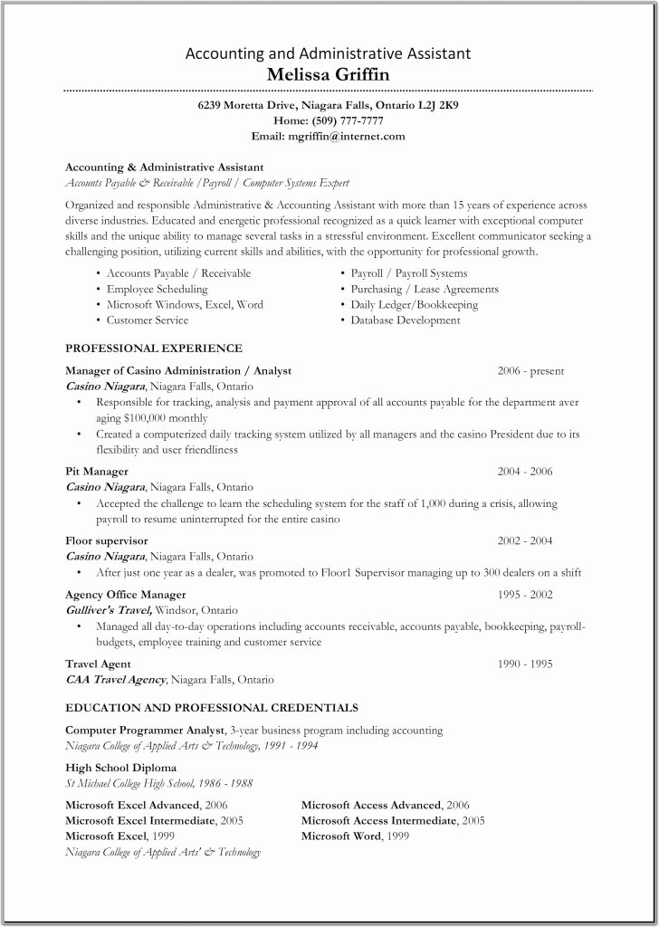 sample resume with excel experience